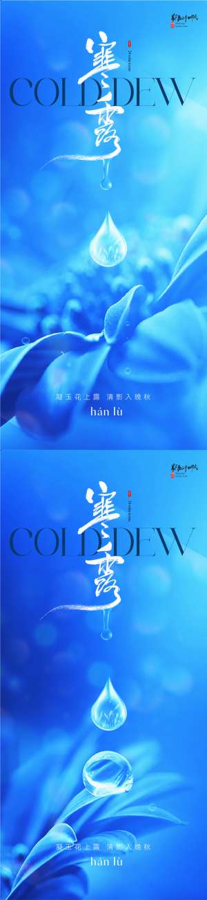 地产医美美业寒露节气海报
