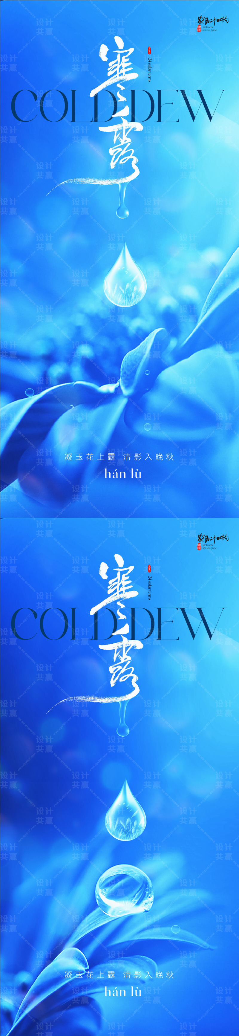 地产医美美业寒露节气海报