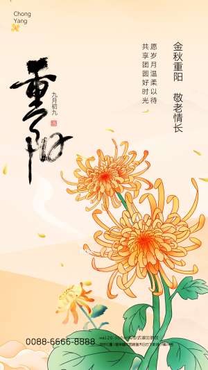 重阳节传统节日海报